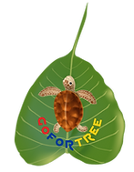 png-01_edited.png